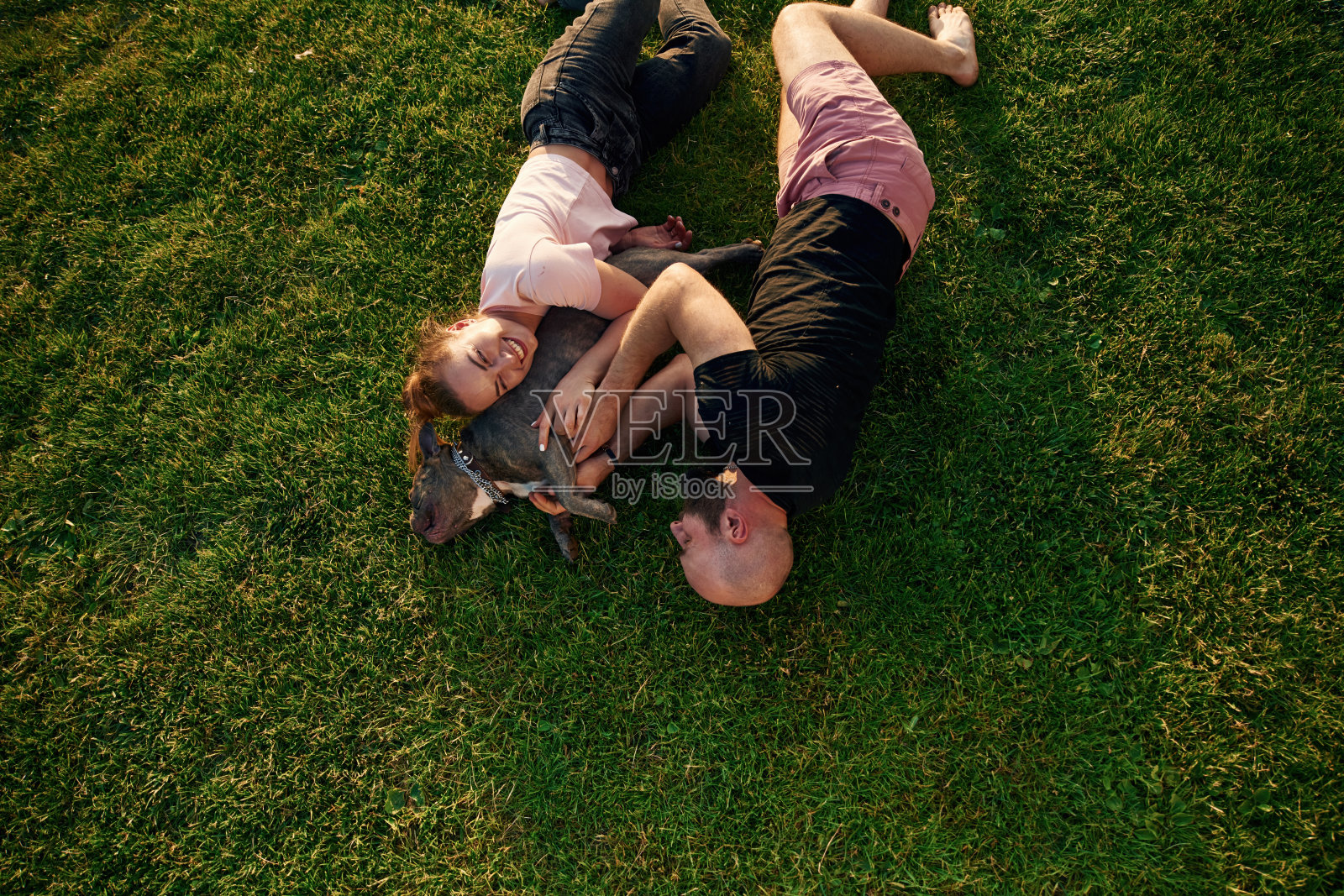 俯视图，躺在草地上。一男一女带着狗在操场上照片摄影图片