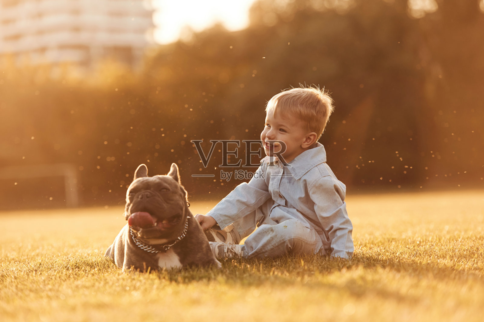 坐在地上。可爱的小男孩和狗在操场上照片摄影图片