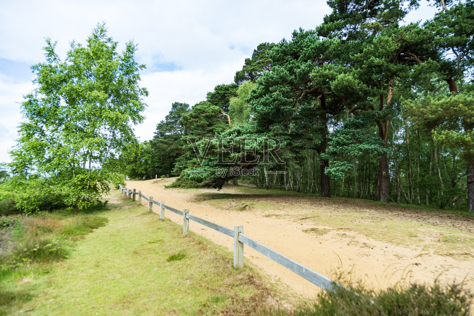 乡村观景台栅栏萨里山英格兰照片摄影图片