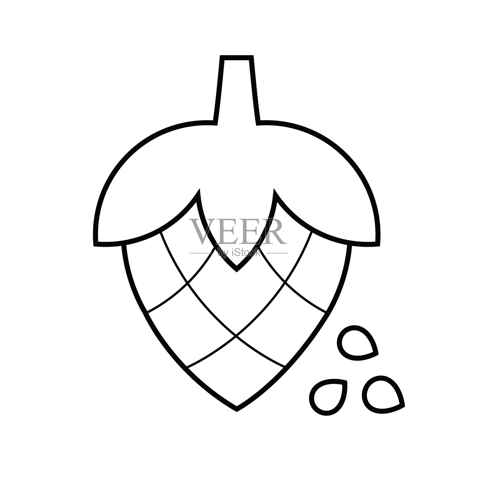 松子线性矢量图标隔离在白色背景上插画图片素材