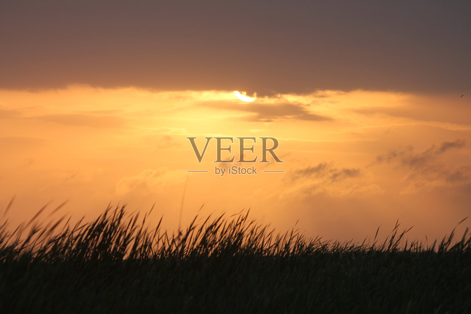 沙丘上的日落照片摄影图片