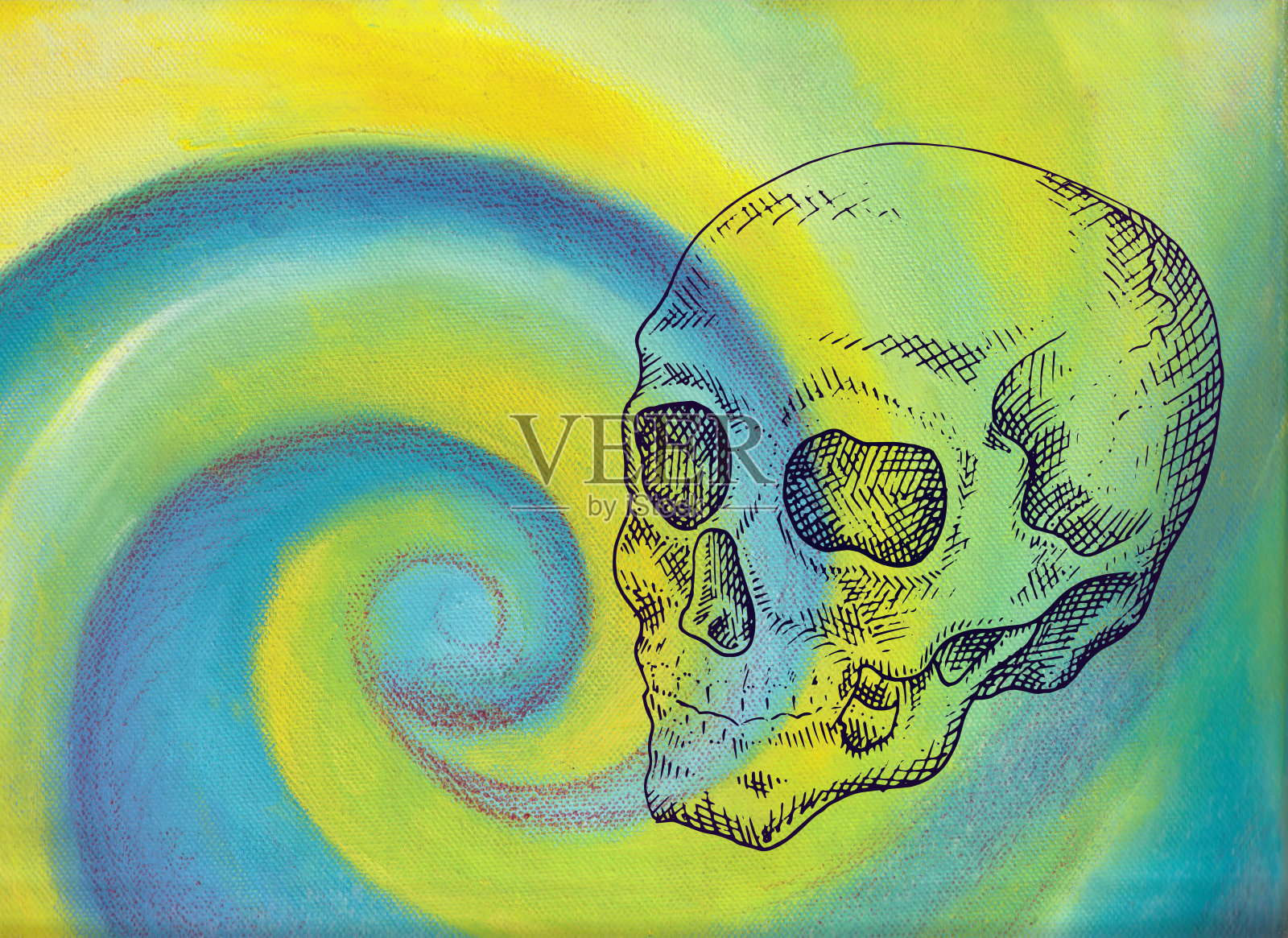 头骨漩涡插画图片素材