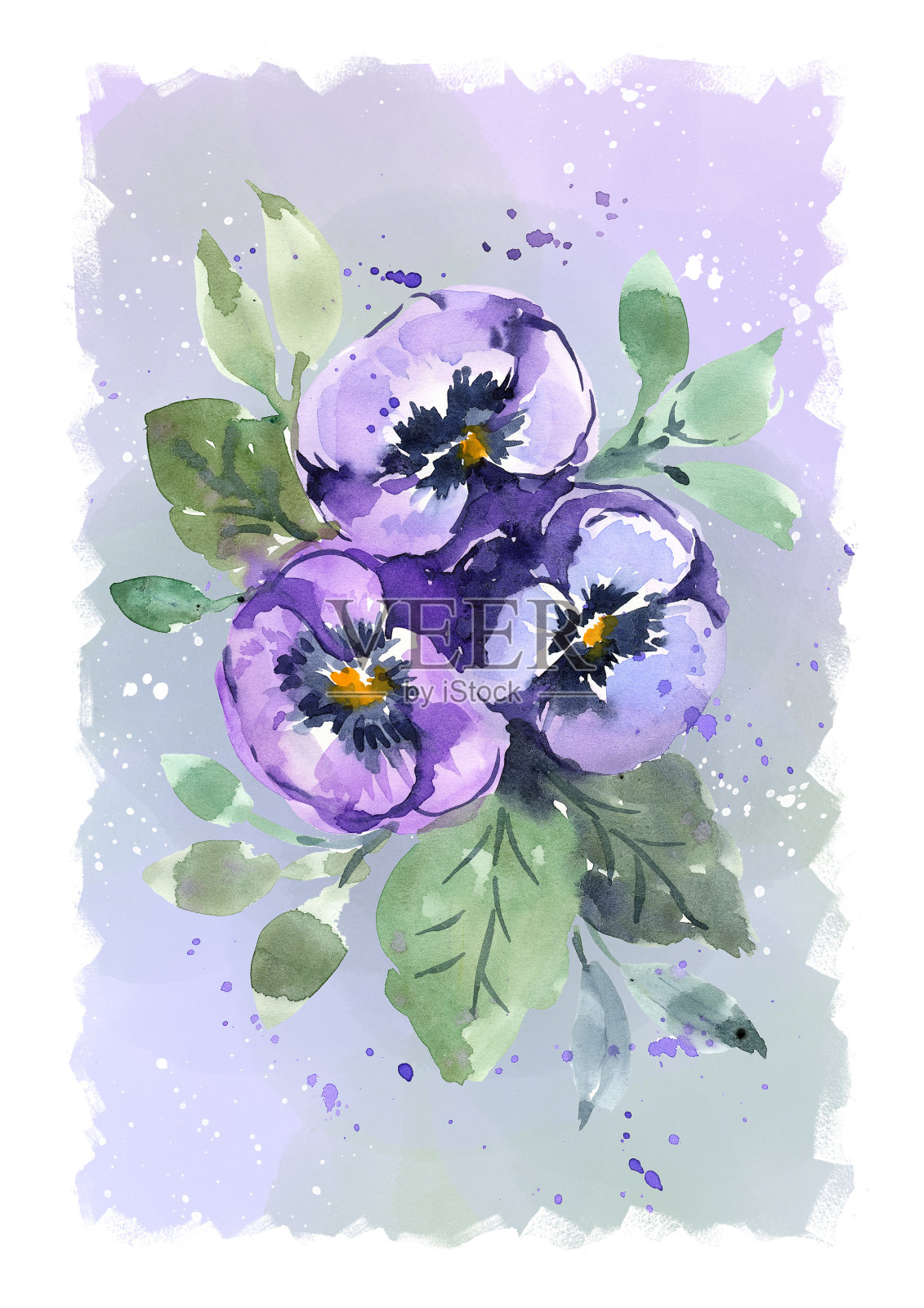 手绘，三色紫色三色紫罗兰，背景为设计的邀请，封面，目录插画图片素材