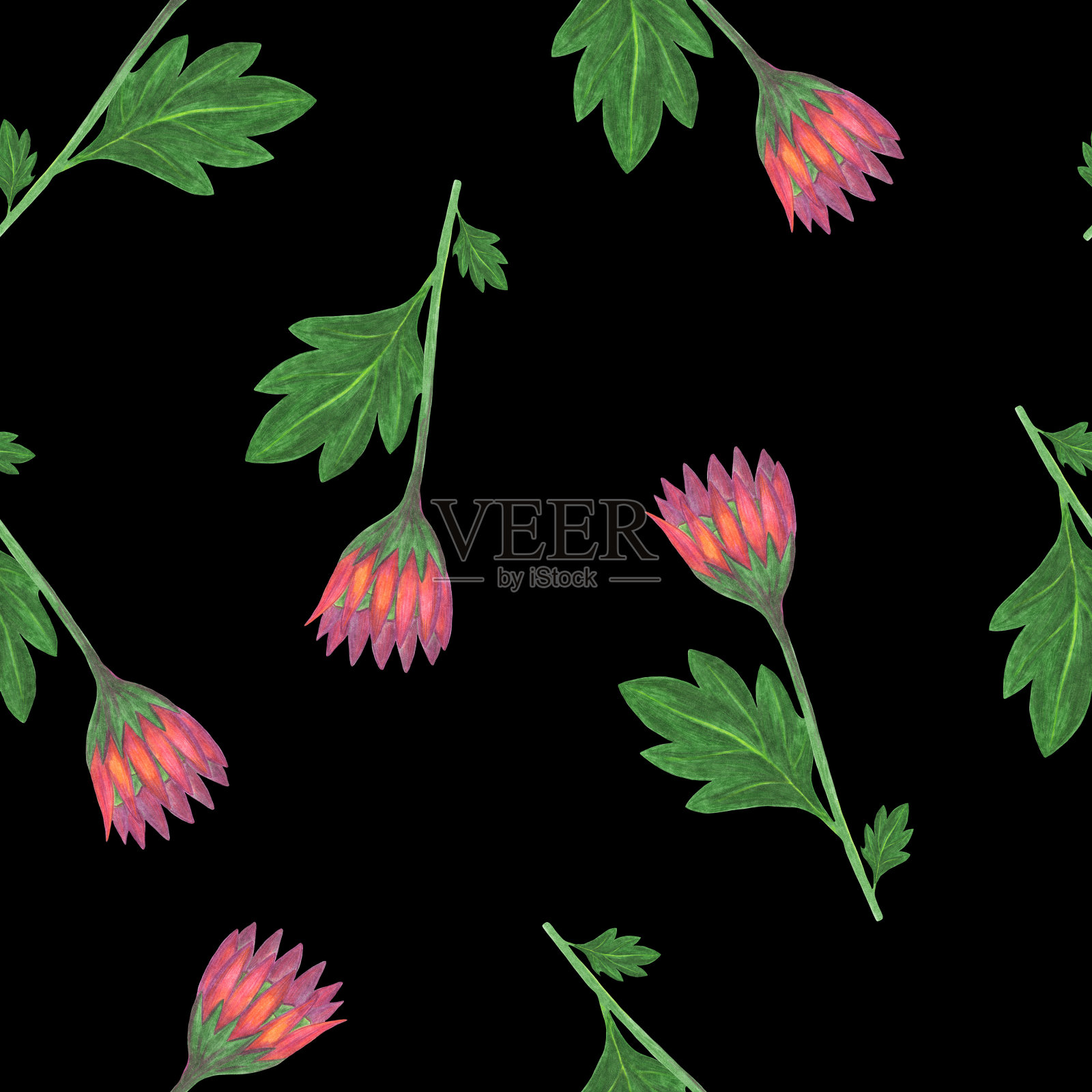 菊花无缝图案。花卉数码纸。插画图片素材