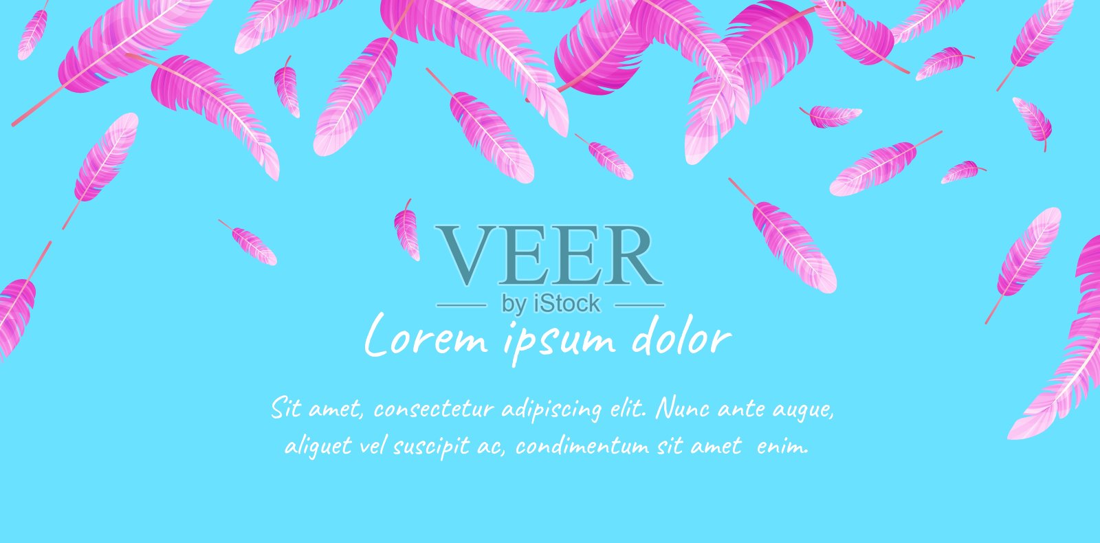 横幅模板与下降粉红色火烈鸟羽毛插画图片素材