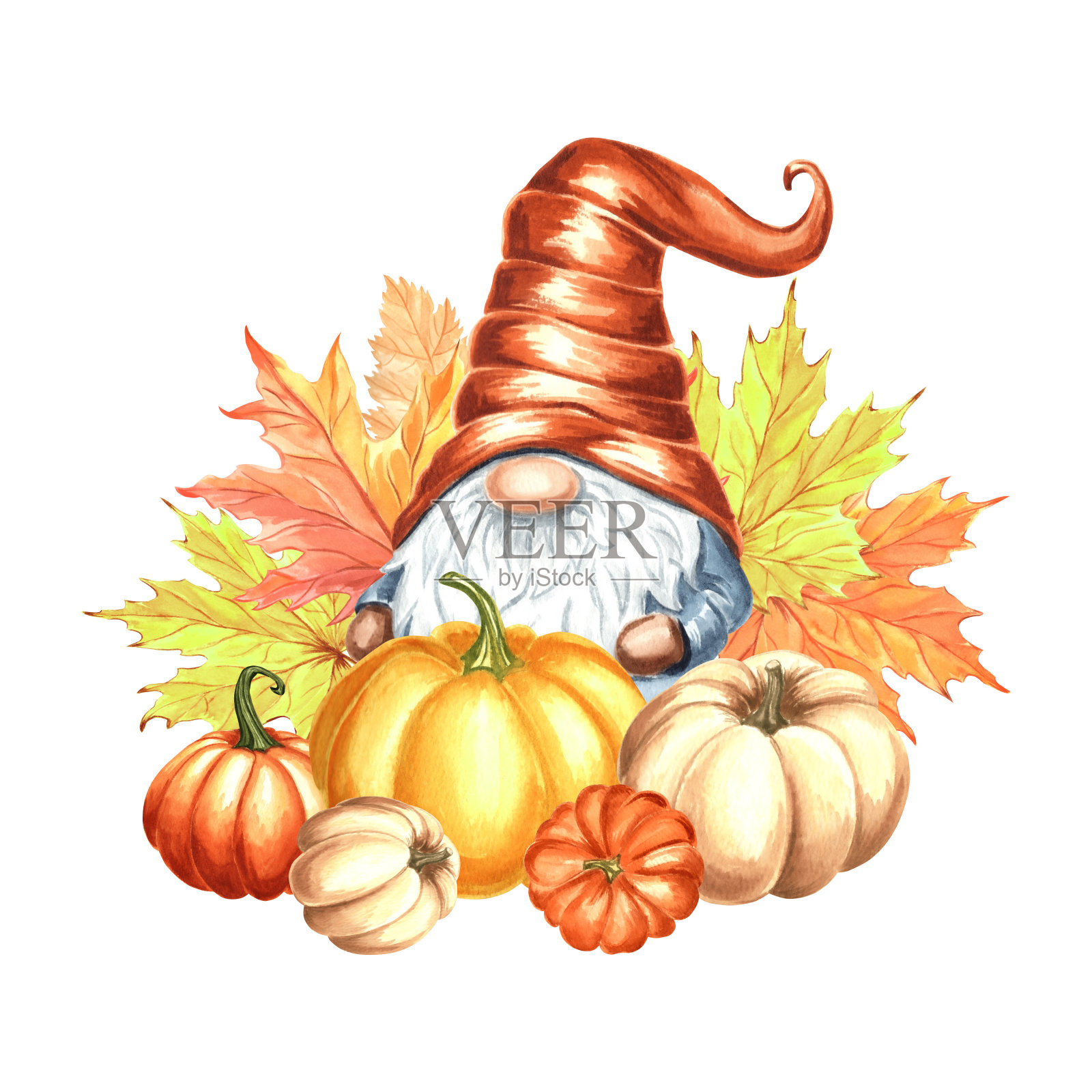 南瓜和枫叶的侏儒。手绘水彩插图孤立。可爱的卡通儿童形象的秋天和感恩节装饰。北欧的仙女小矮人。剪贴画贴纸，打印，卡片。插画图片素材