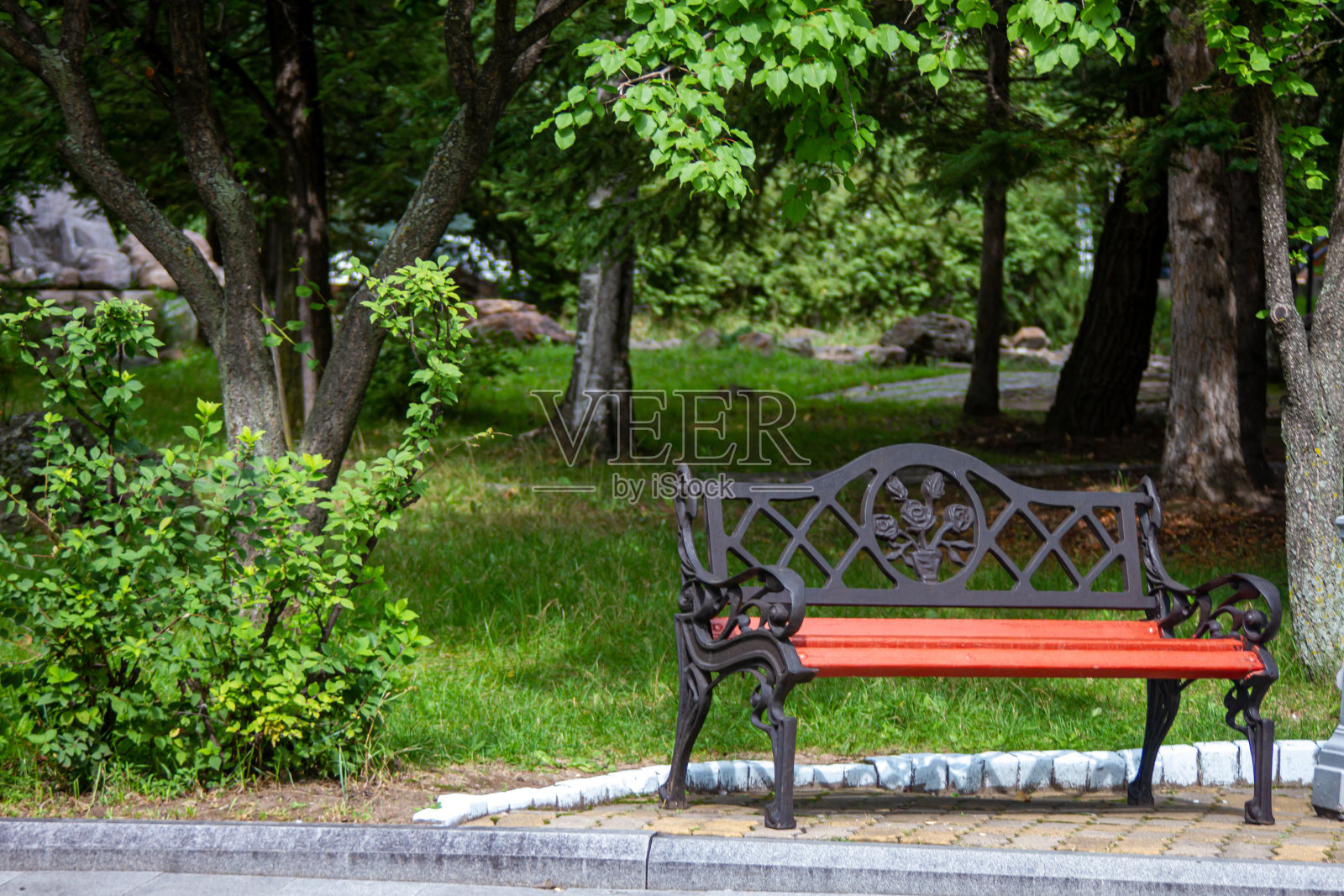 夏天的城市公园绿树成荫，天气晴朗照片摄影图片