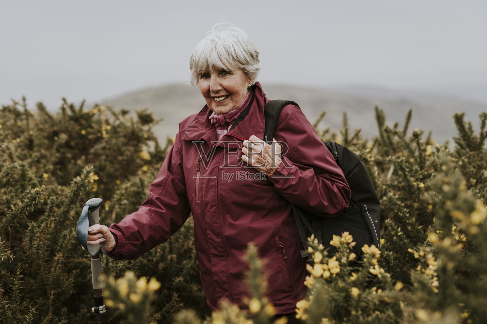 老年妇女徒步穿过花田照片摄影图片