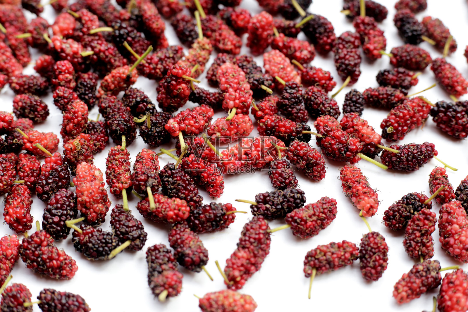 白色背景上的新鲜桑葚。照片摄影图片