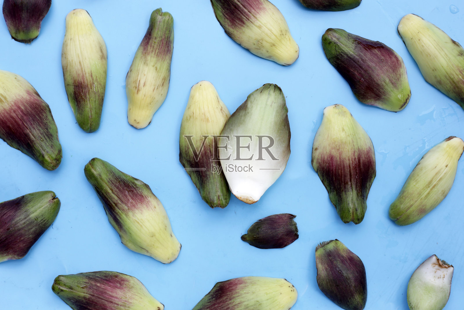 鲜绿紫的洋蓟花瓣照片摄影图片