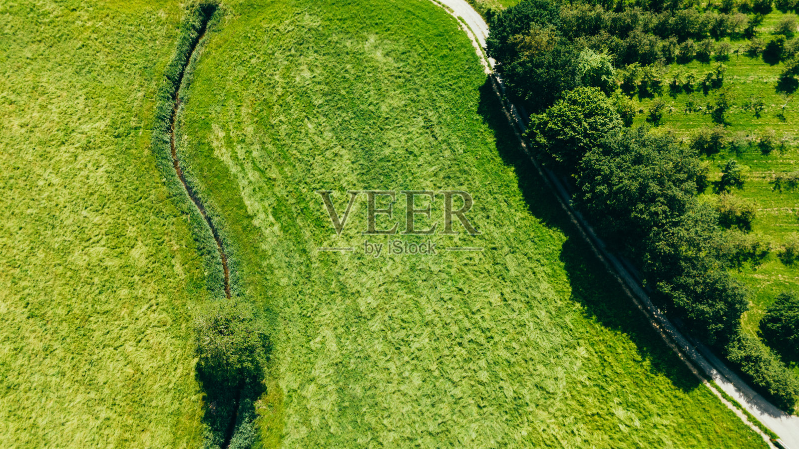 美丽的空中景观绿色背景。美丽的自然景观。自然背景照片摄影图片