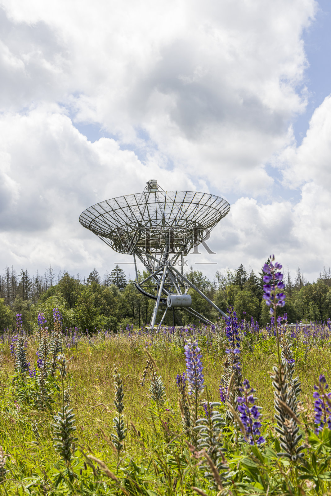 荷兰韦斯特博克卫星天线站照片摄影图片