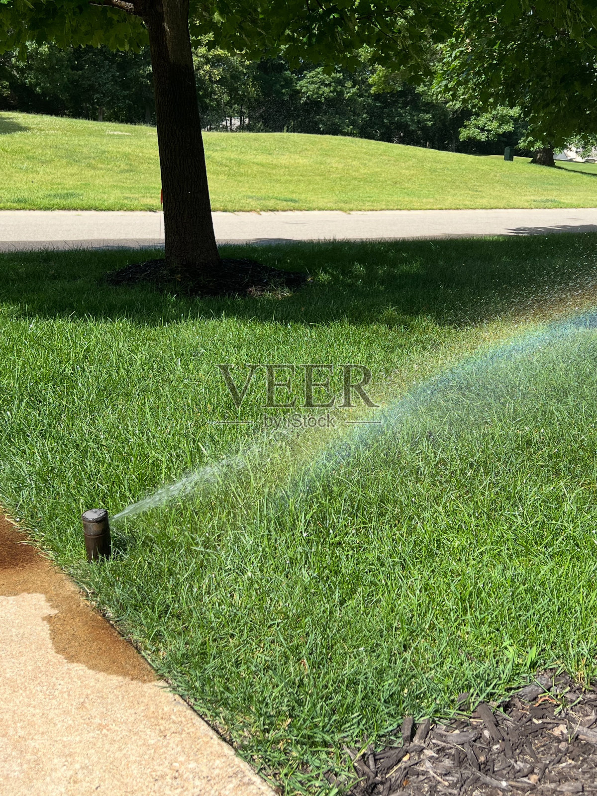 给草坪浇水的洒水器照片摄影图片