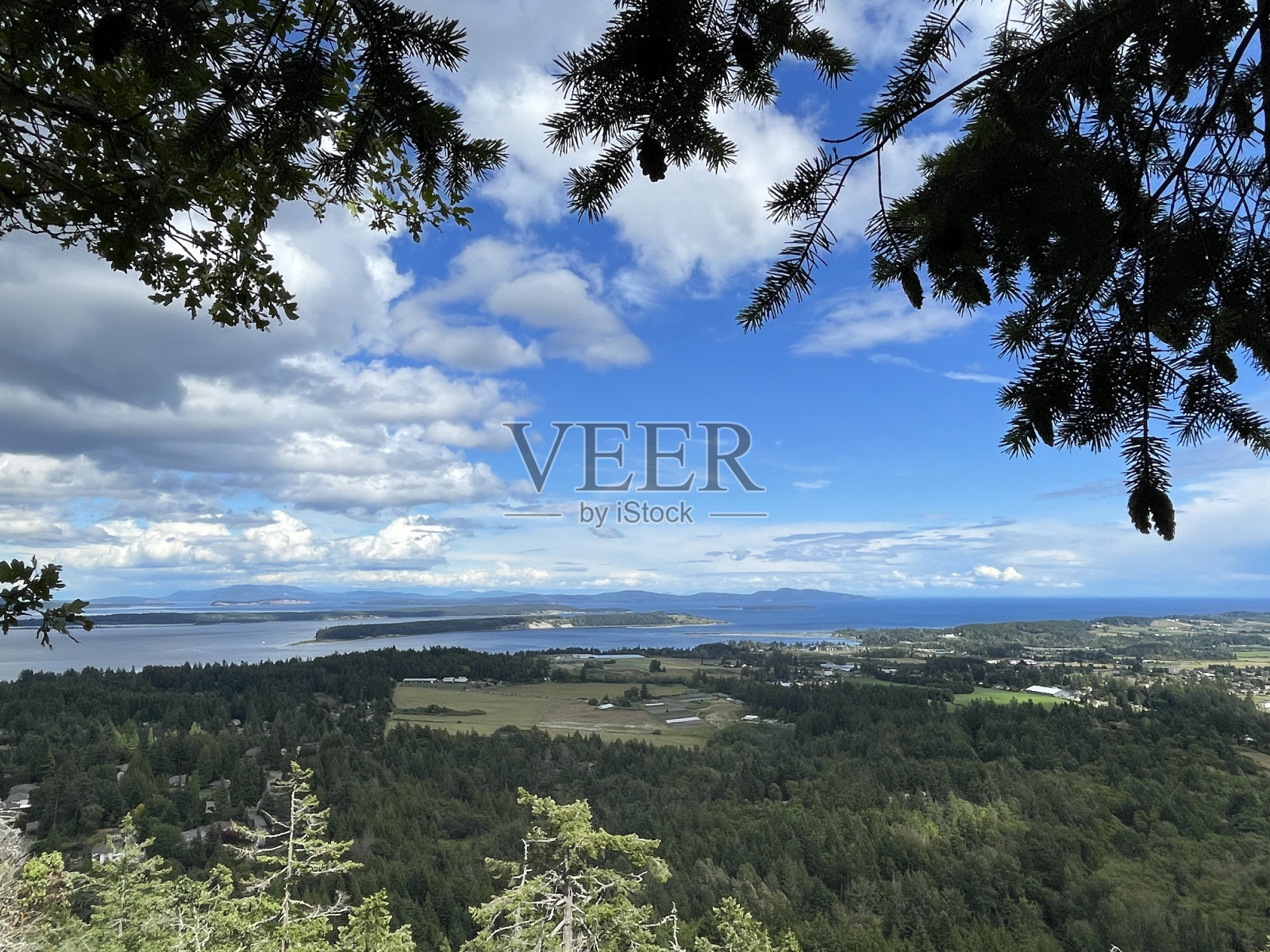 温哥华岛小心照片摄影图片