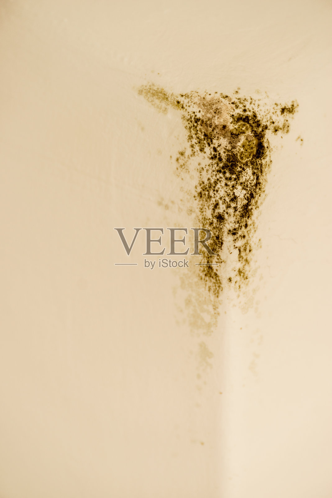 光墙角落发霉照片摄影图片