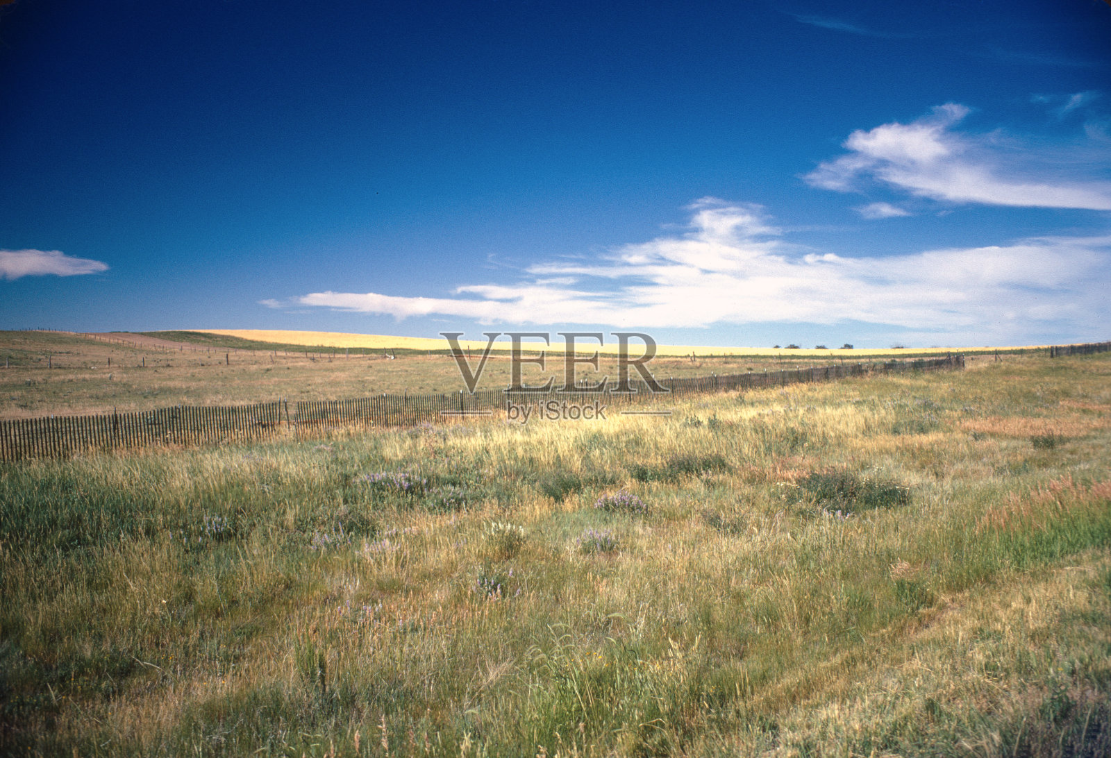 堪萨斯草原——1975年照片摄影图片