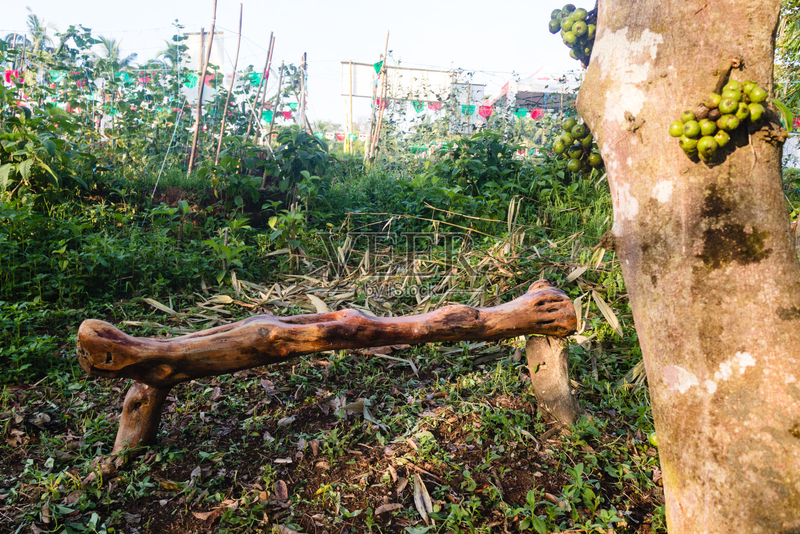 木头椅子照片摄影图片
