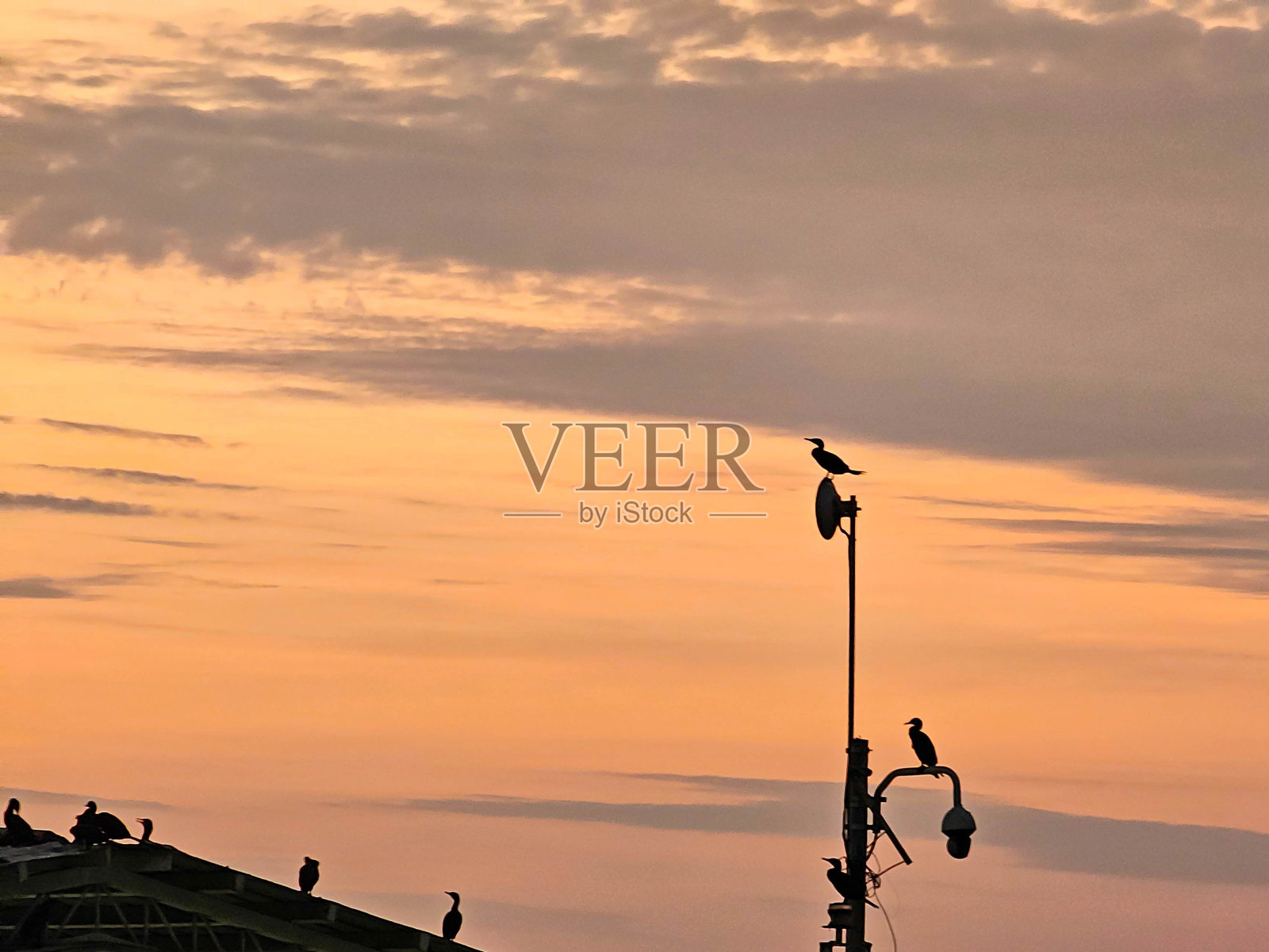 海港有许多船只和船只，日落时可以看到港口的景色照片摄影图片