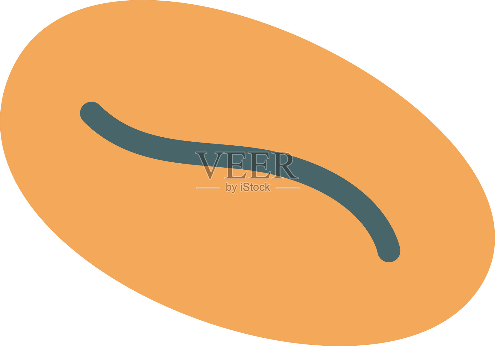 746年_elements_animals_with_sweets_desserts插画图片素材