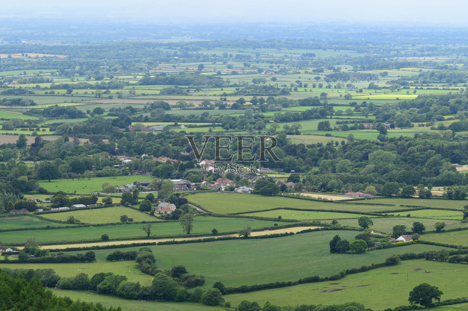 夏天英国连绵起伏的乡村里郁郁葱葱的绿色农田照片摄影图片