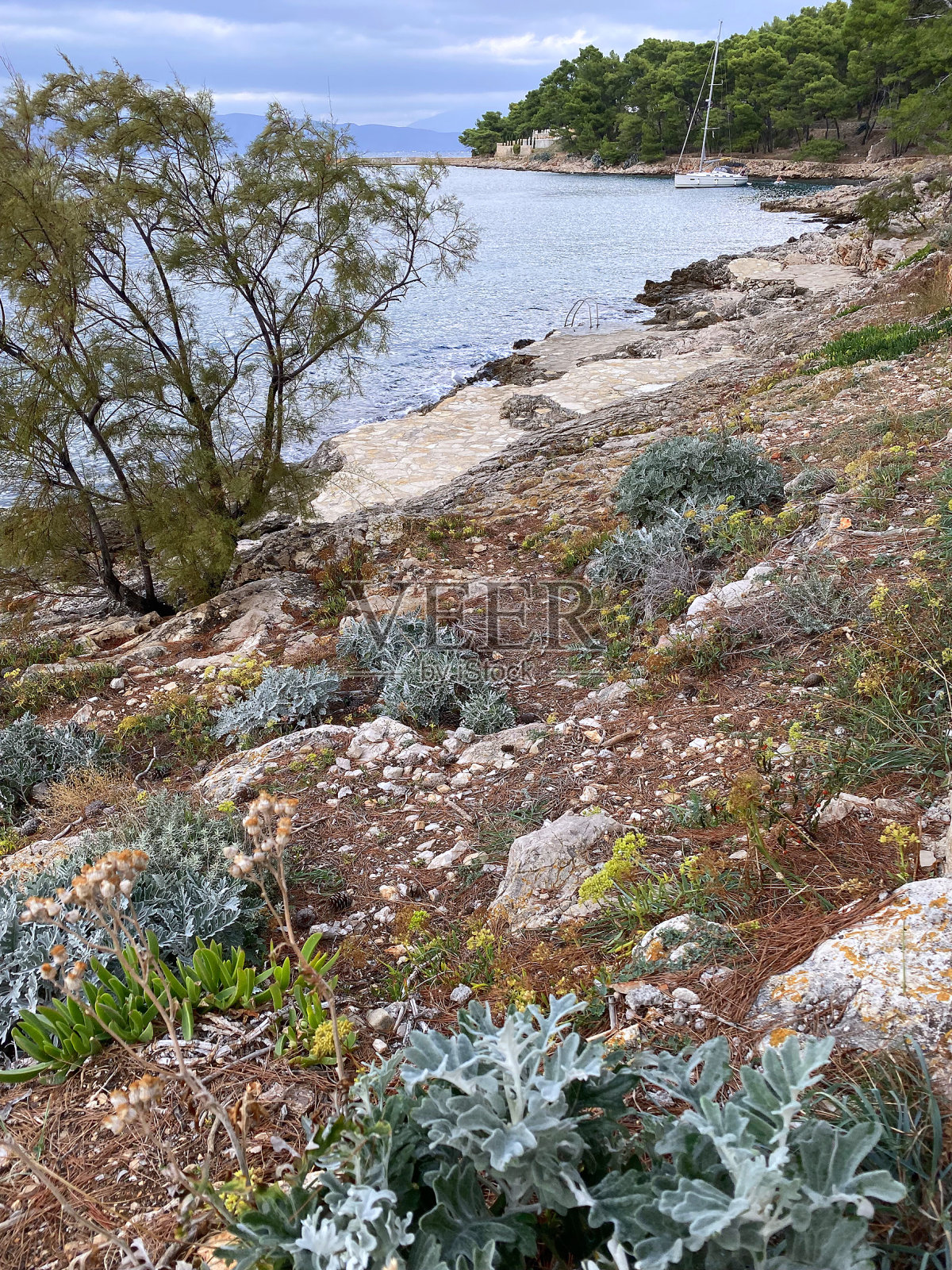 耶尔萨湾，赫瓦尔岛，克罗地亚照片摄影图片