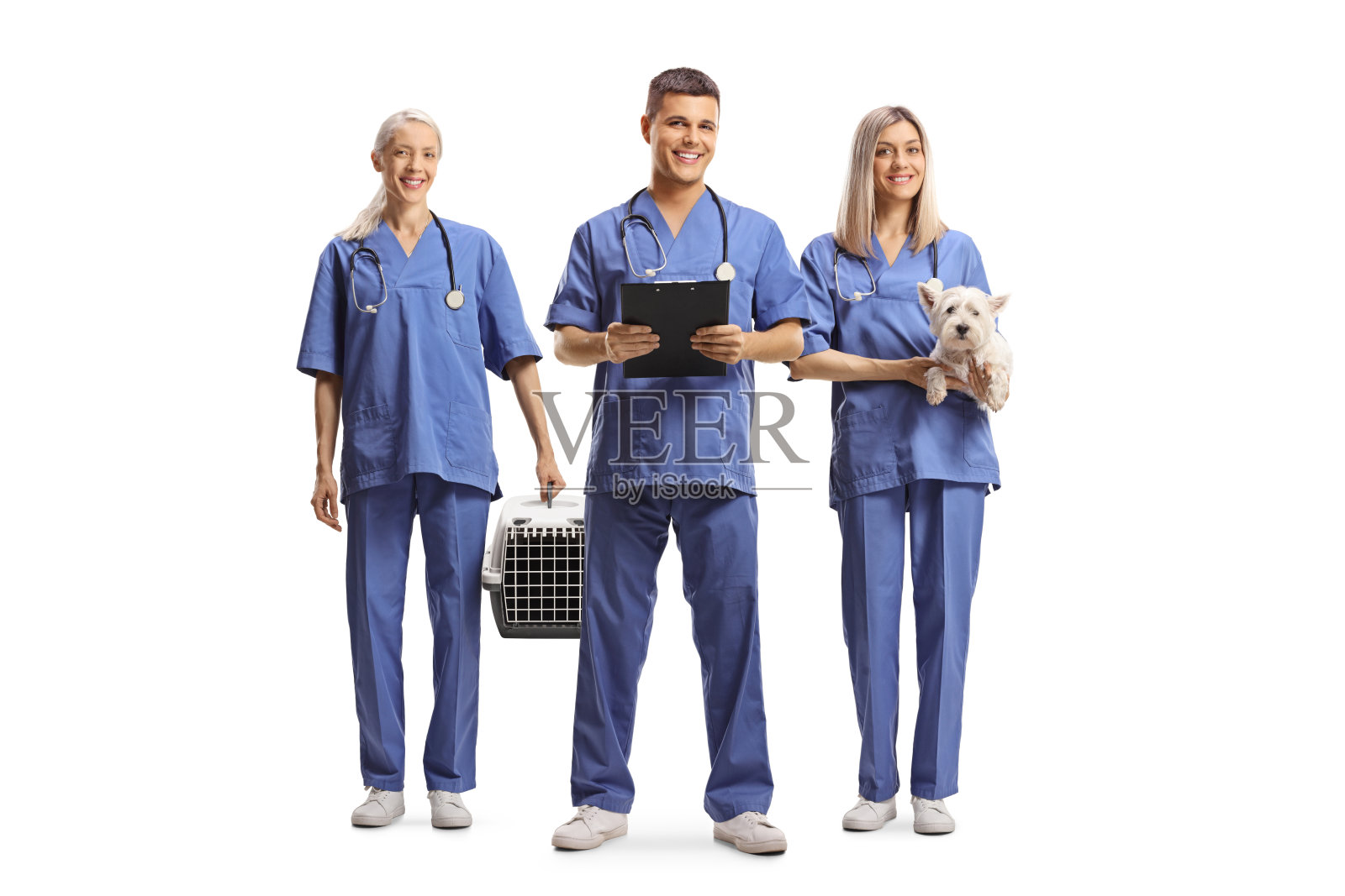 穿蓝色的兽医保健队照片摄影图片