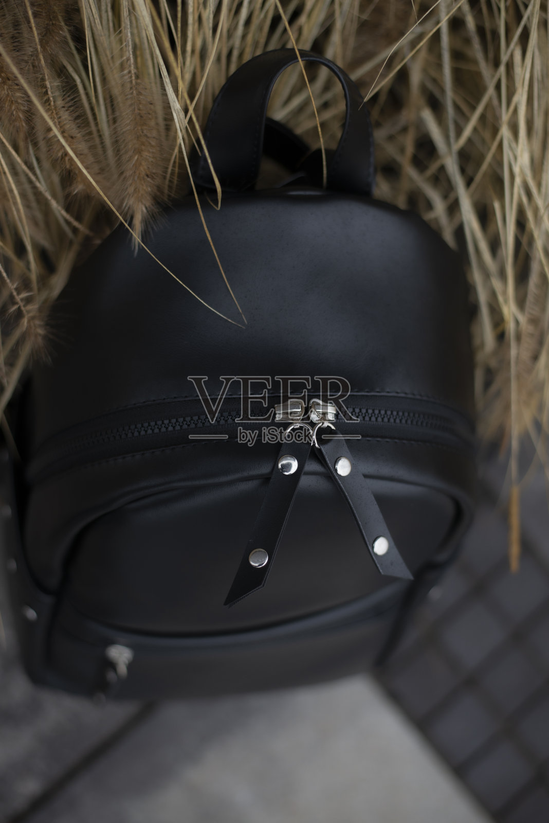 背包照片摄影图片