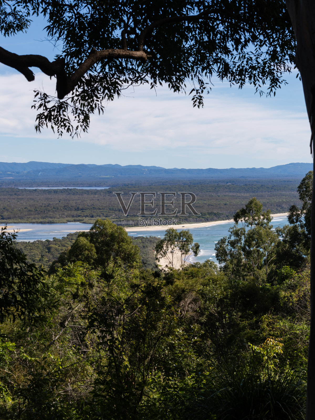 努沙河和灌木丛照片摄影图片
