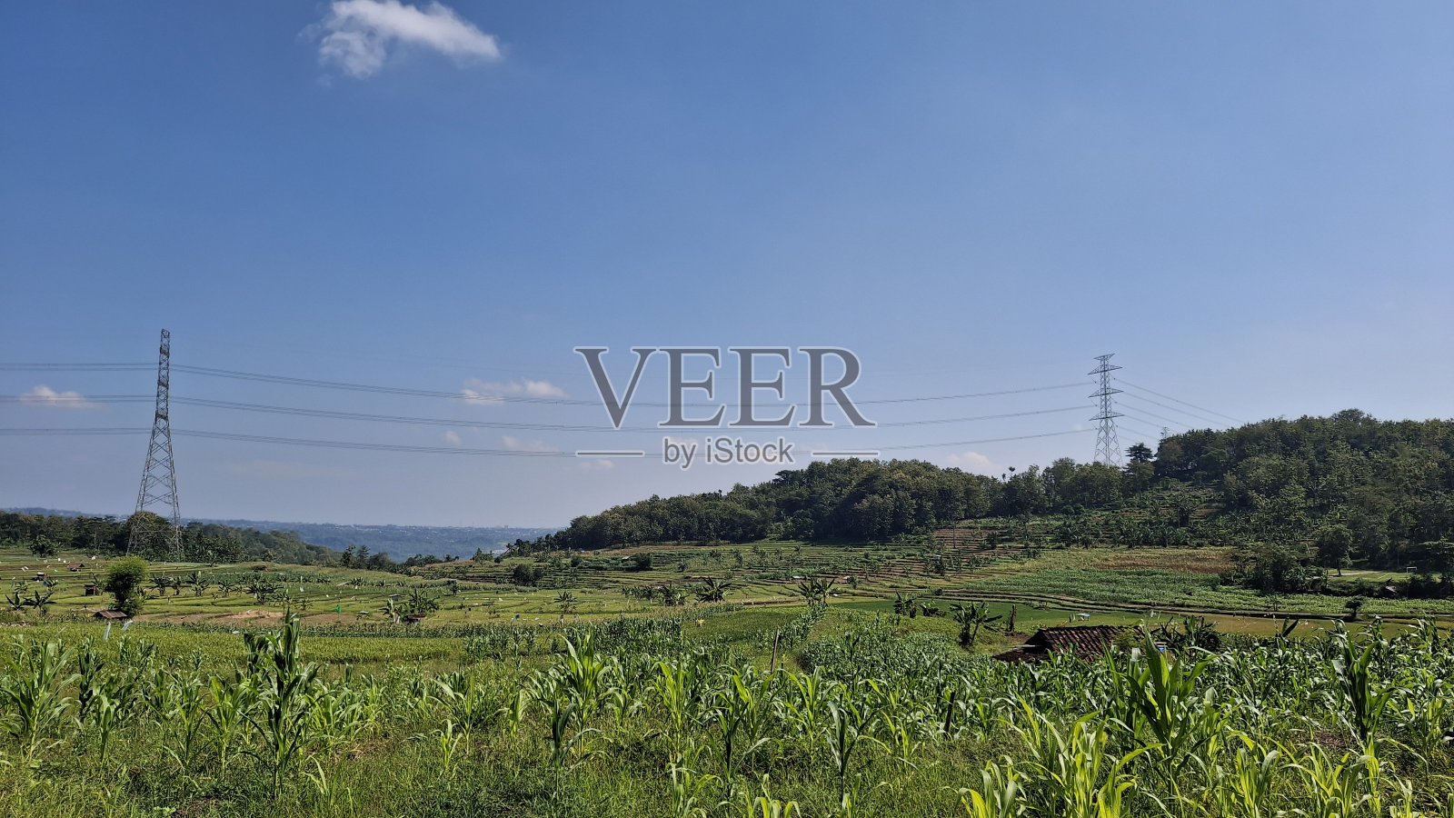 印度尼西亚夏天阳光明媚的乡村景色照片摄影图片