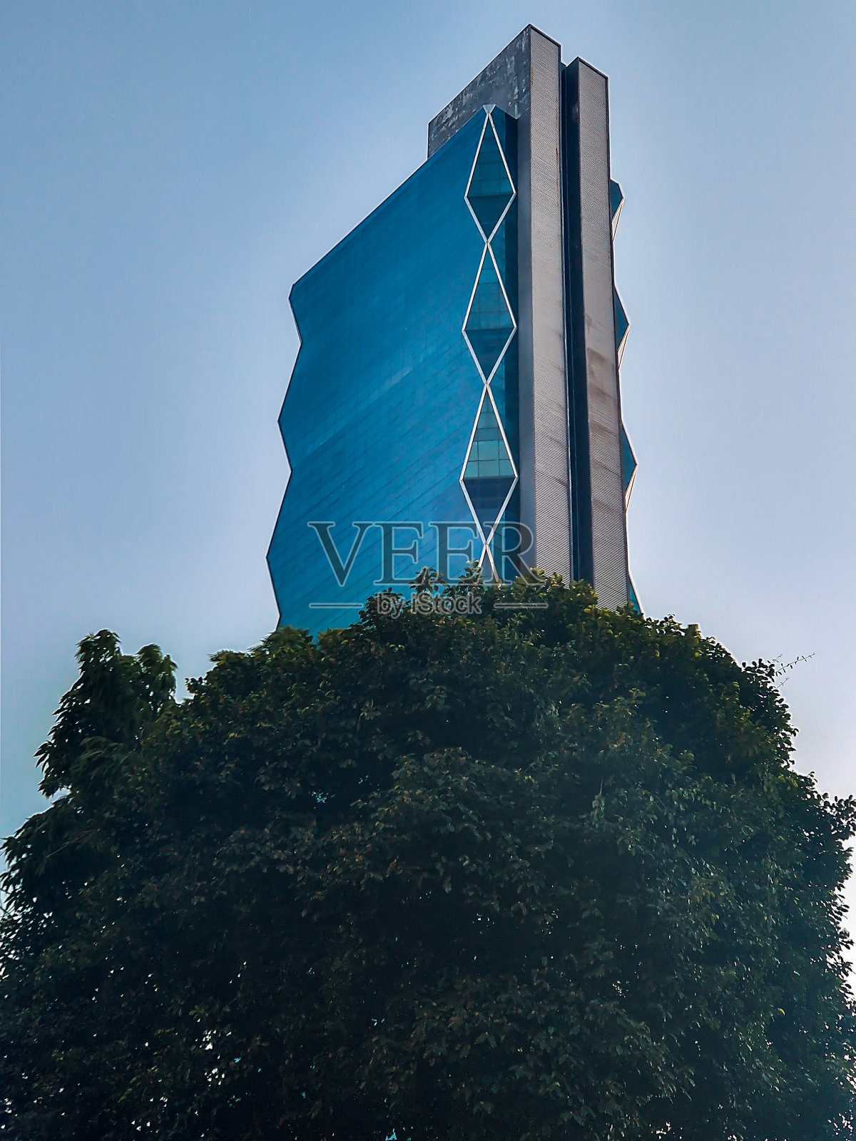 日落时分，巴拿马城的绿色灌木和蓝色建筑为背景照片摄影图片