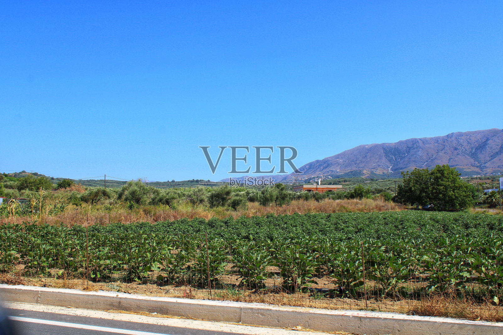 农田上方的地平线照片摄影图片