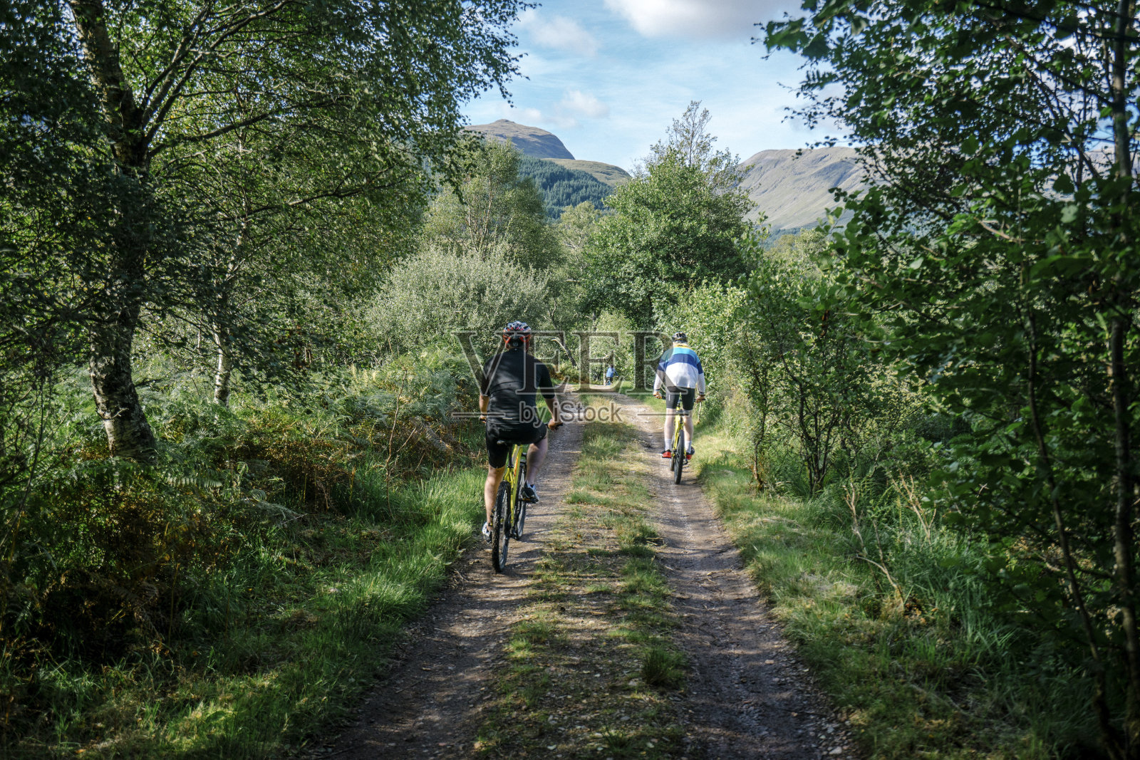 一群骑自行车的人穿过森林照片摄影图片