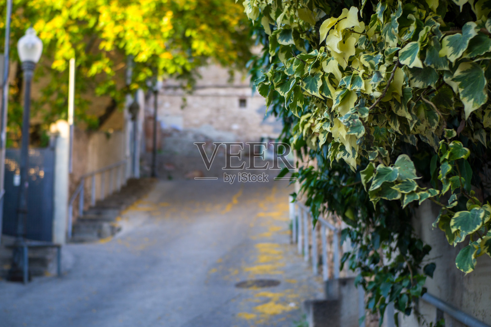 市中心无人的街道照片摄影图片