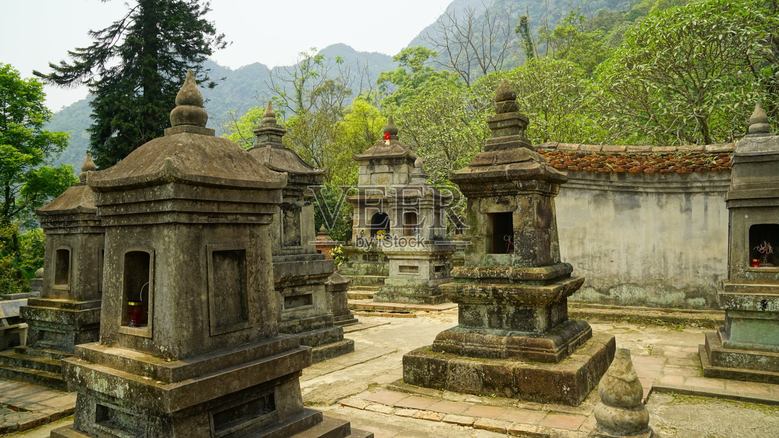 热带森林中的古庙照片摄影图片