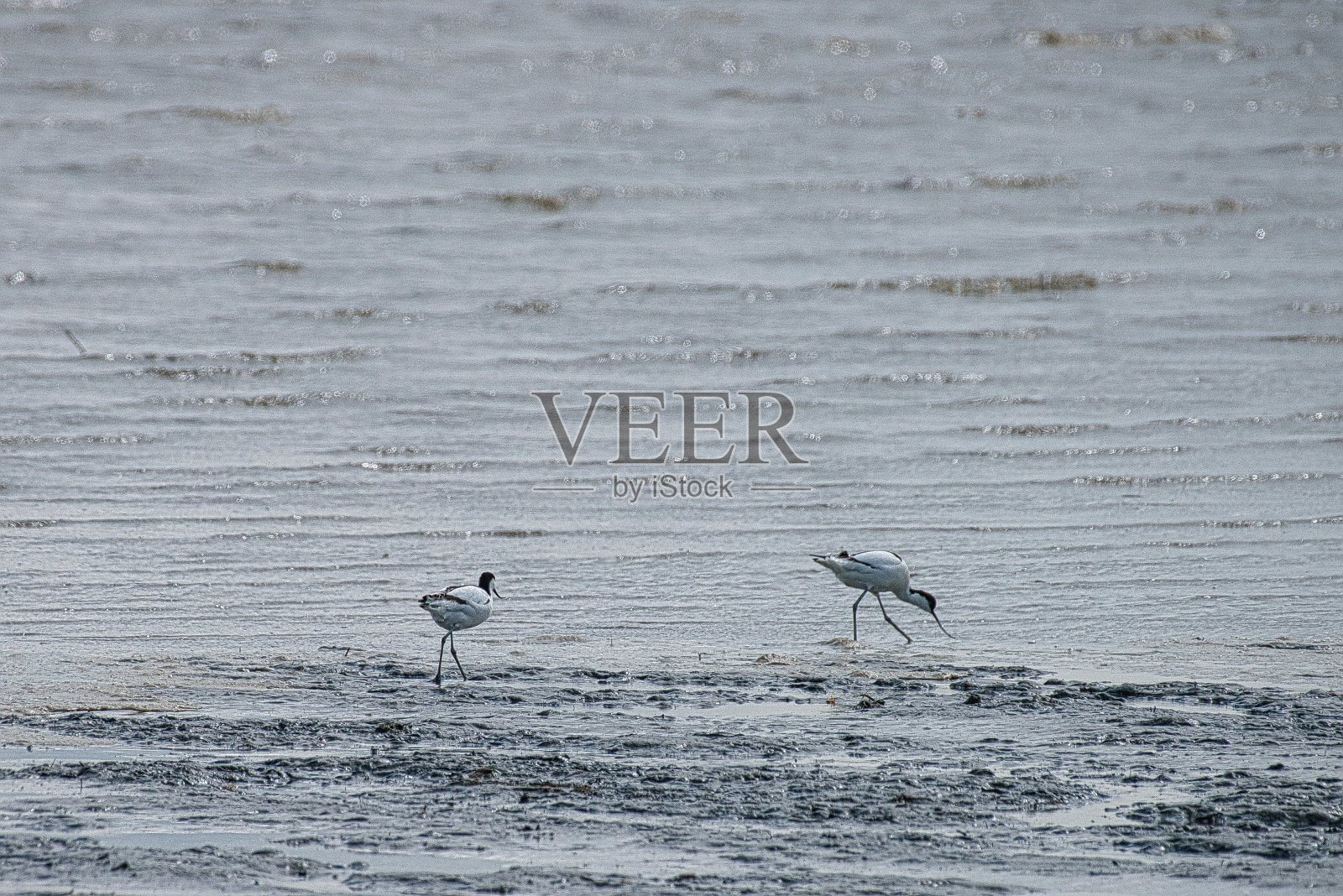 位于北海水边的两个角落照片摄影图片