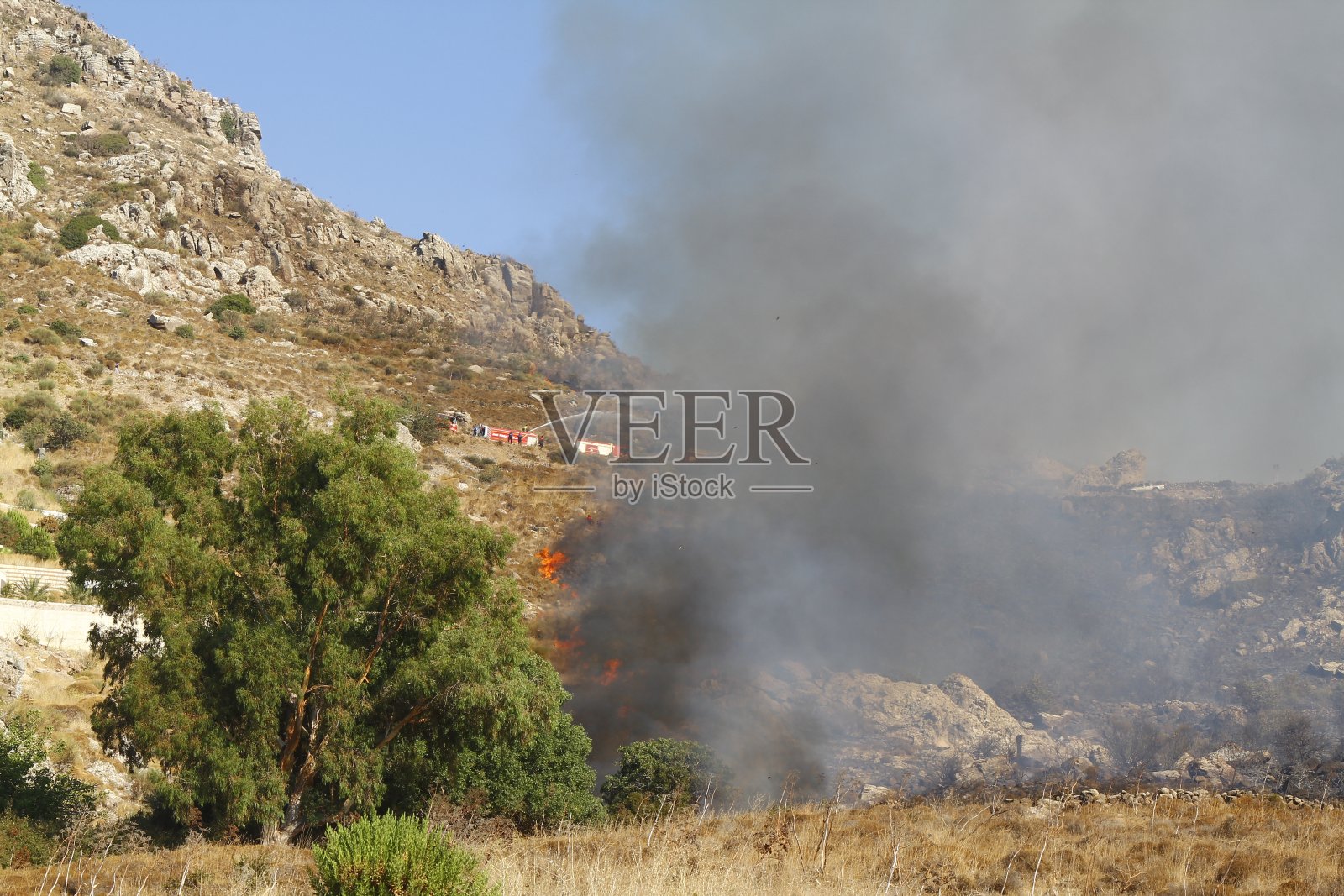 红色熊熊的火焰在草地上燃烧，森林和黑色和白色的烟雾冲上天空。大火特写。空气污染概念。照片摄影图片