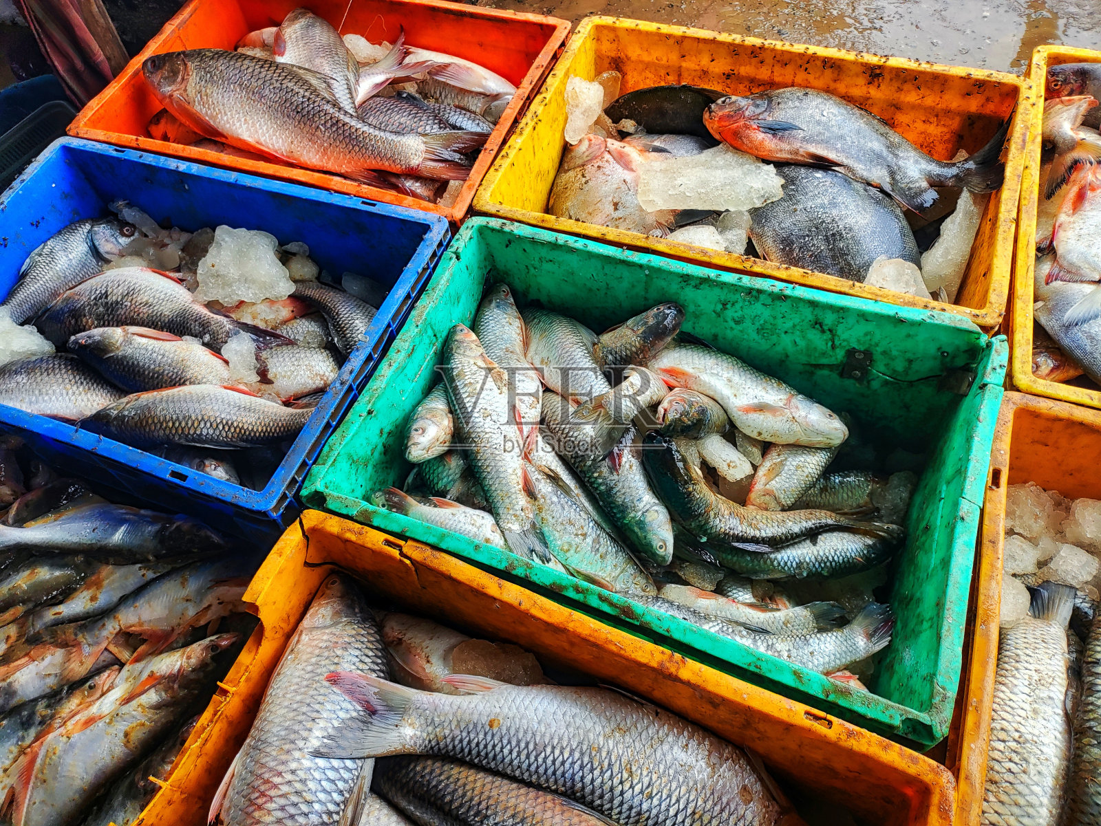 印度鱼市场上有很多装在塑料篮子里的鱼照片摄影图片