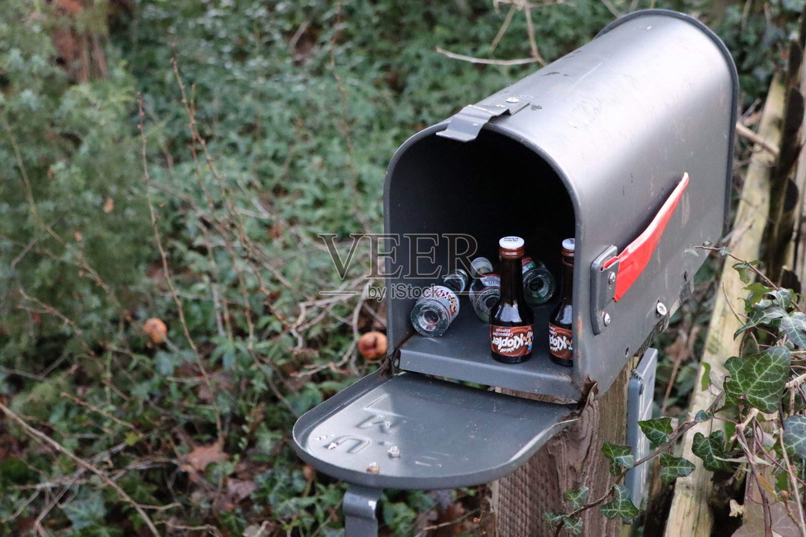 一个装满酒瓶的信箱，坐落在树木和绿色植物之间的户外乡村环境中照片摄影图片