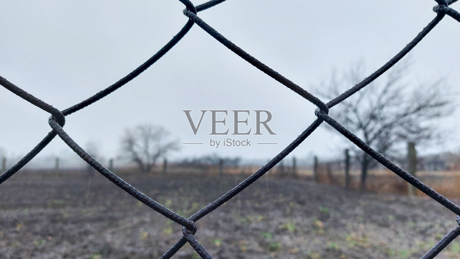 透过铁链栅栏，可以看到菜园的耕地和蓝天照片摄影图片