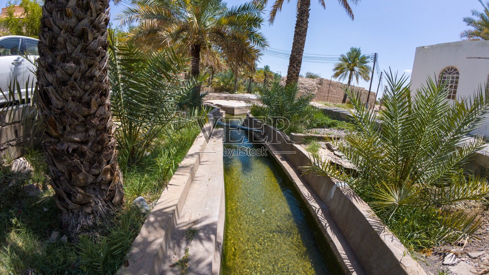 春天，阿曼尼兹瓦的椰枣树花园和灌溉系统的摄影照片摄影图片