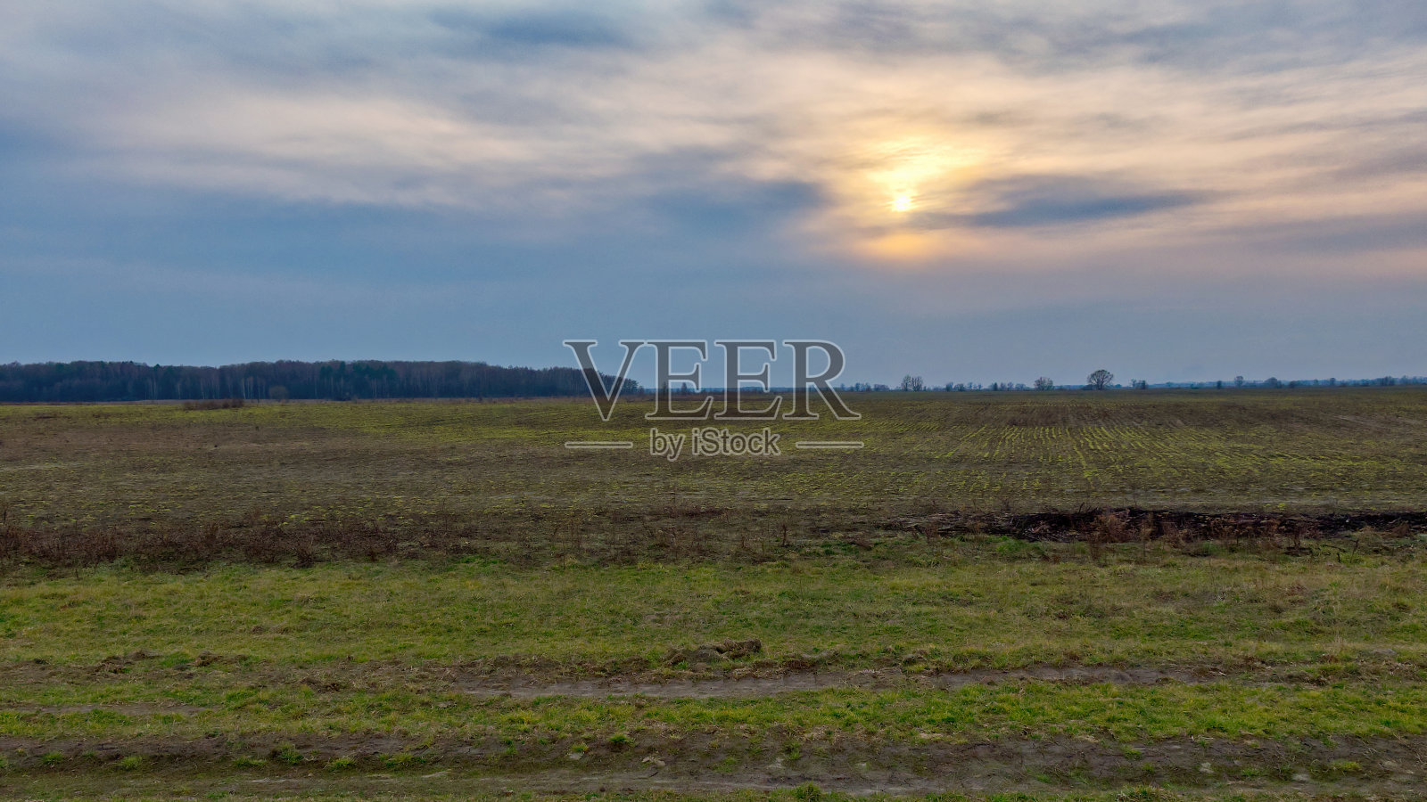 一张被犁过的田地的照片，背景是森林。照片摄影图片