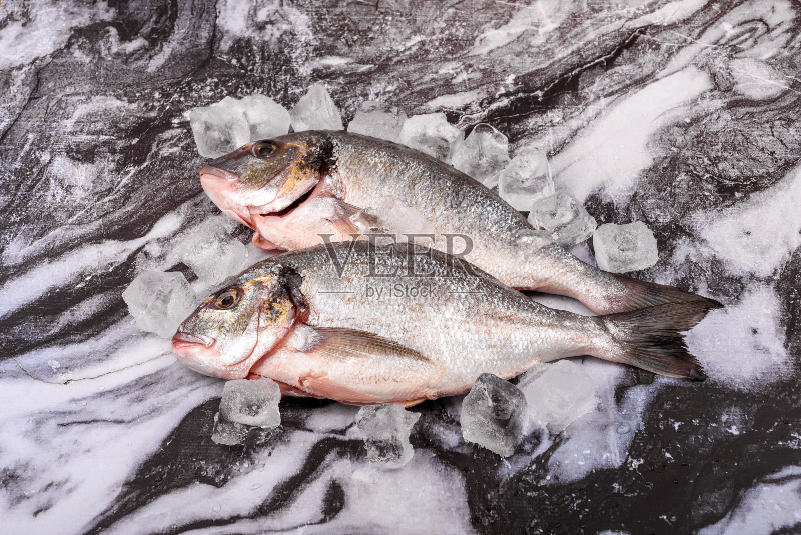 两条黄金鱼在天然冰块之间。照片摄影图片