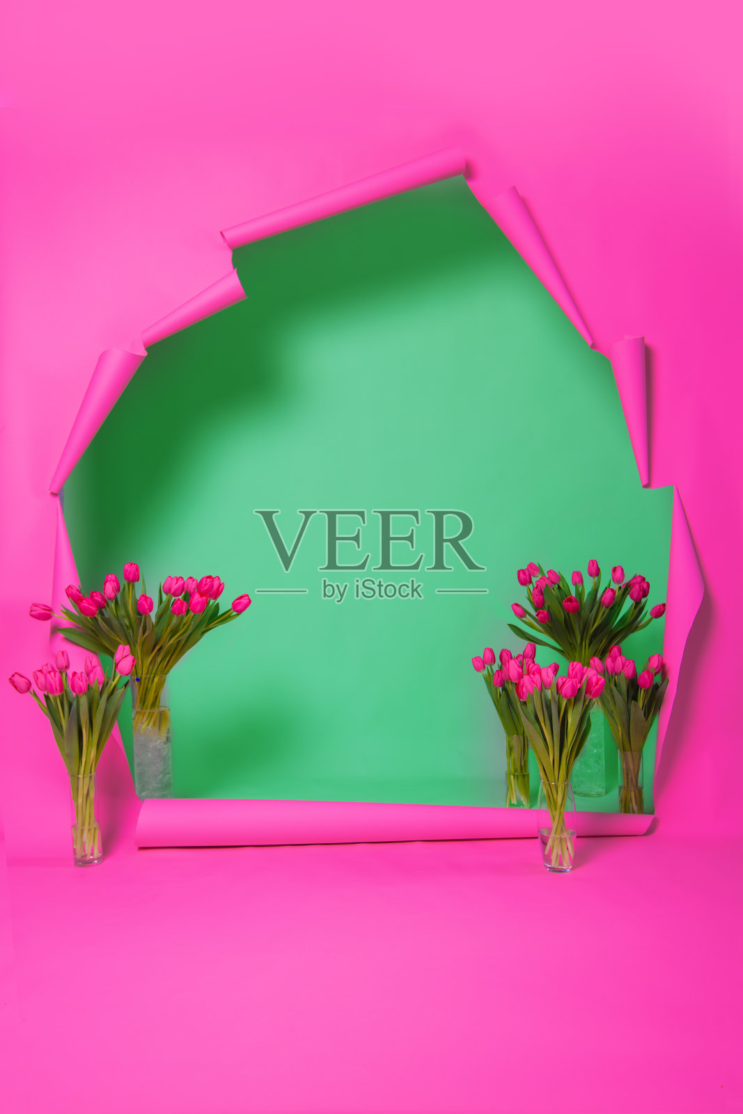 明亮的春天背景，粉红色的破纸和装饰着郁金香的绿色墙壁。鲜花拍照区。粉红色和绿色的组合。照片摄影图片