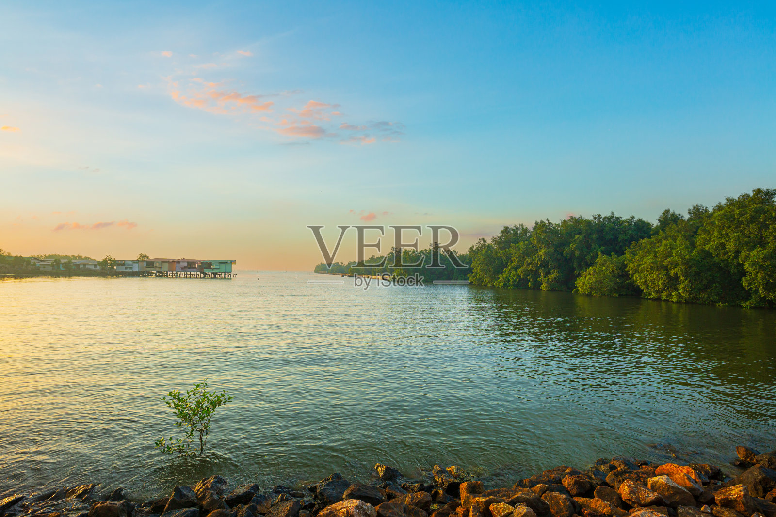 海岸线和红树林，桑德班斯，印度东北部和孟加拉国南部，世界上最大的天然红树林桑德班照片摄影图片