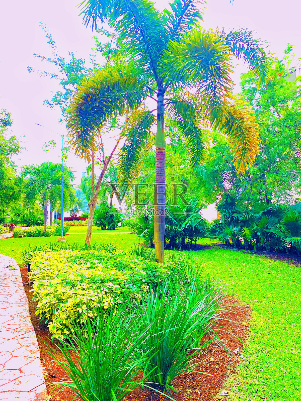 坎昆公园照片摄影图片