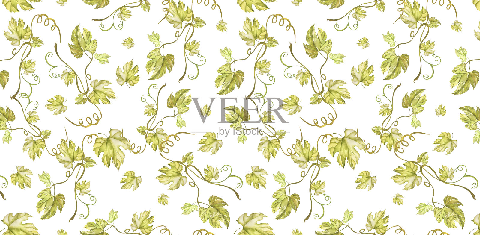 无缝模式。葡萄藤，叶子。采购产品菜单，食谱，酒和果汁标签，名片，明信片，邀请，包装插画图片素材