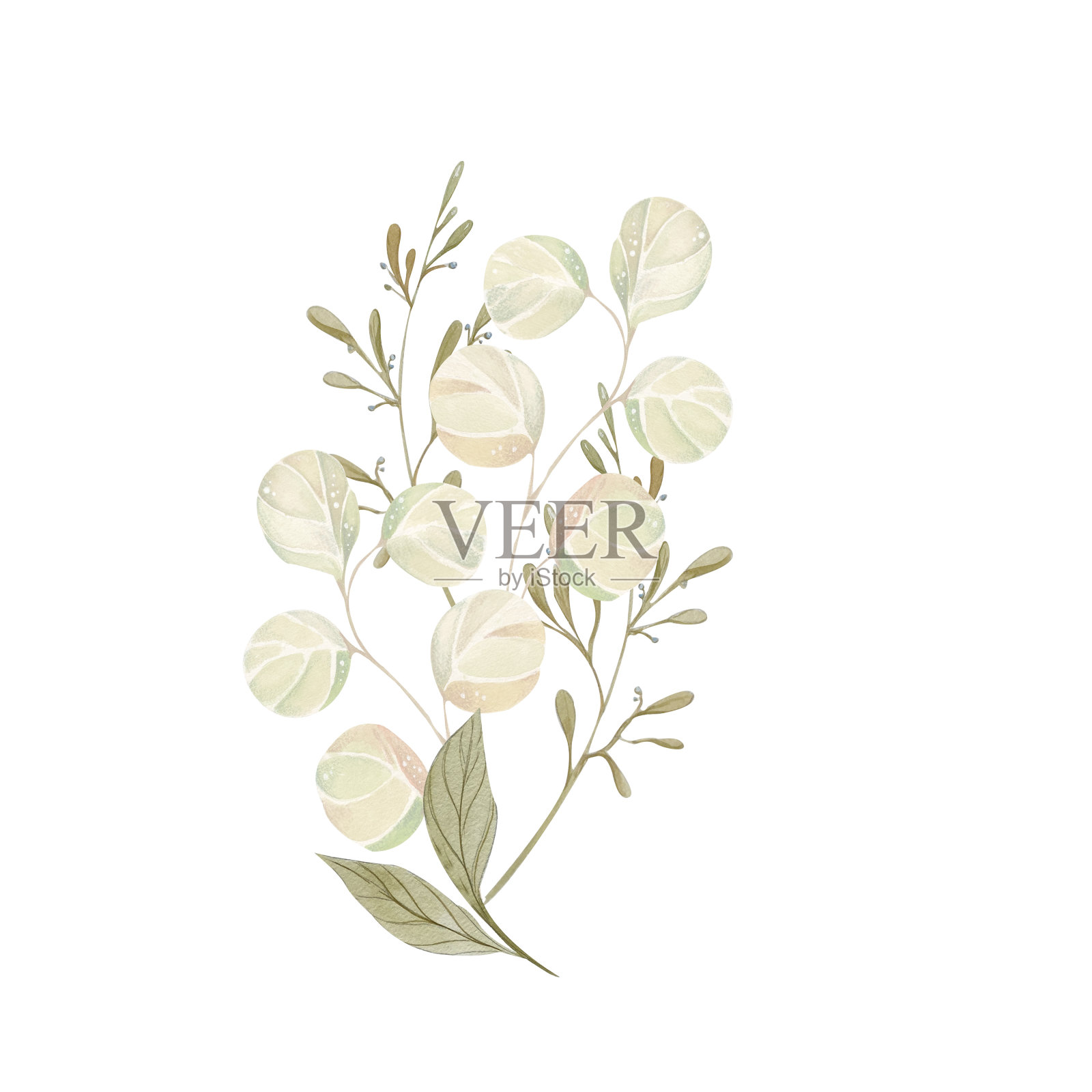 抽象的叶子和细枝在米色和绿色柔和的颜色。浅水彩插图。采购产品童装设计元素，卡片，海报，传单，化妆品包装，纺织品插画图片素材