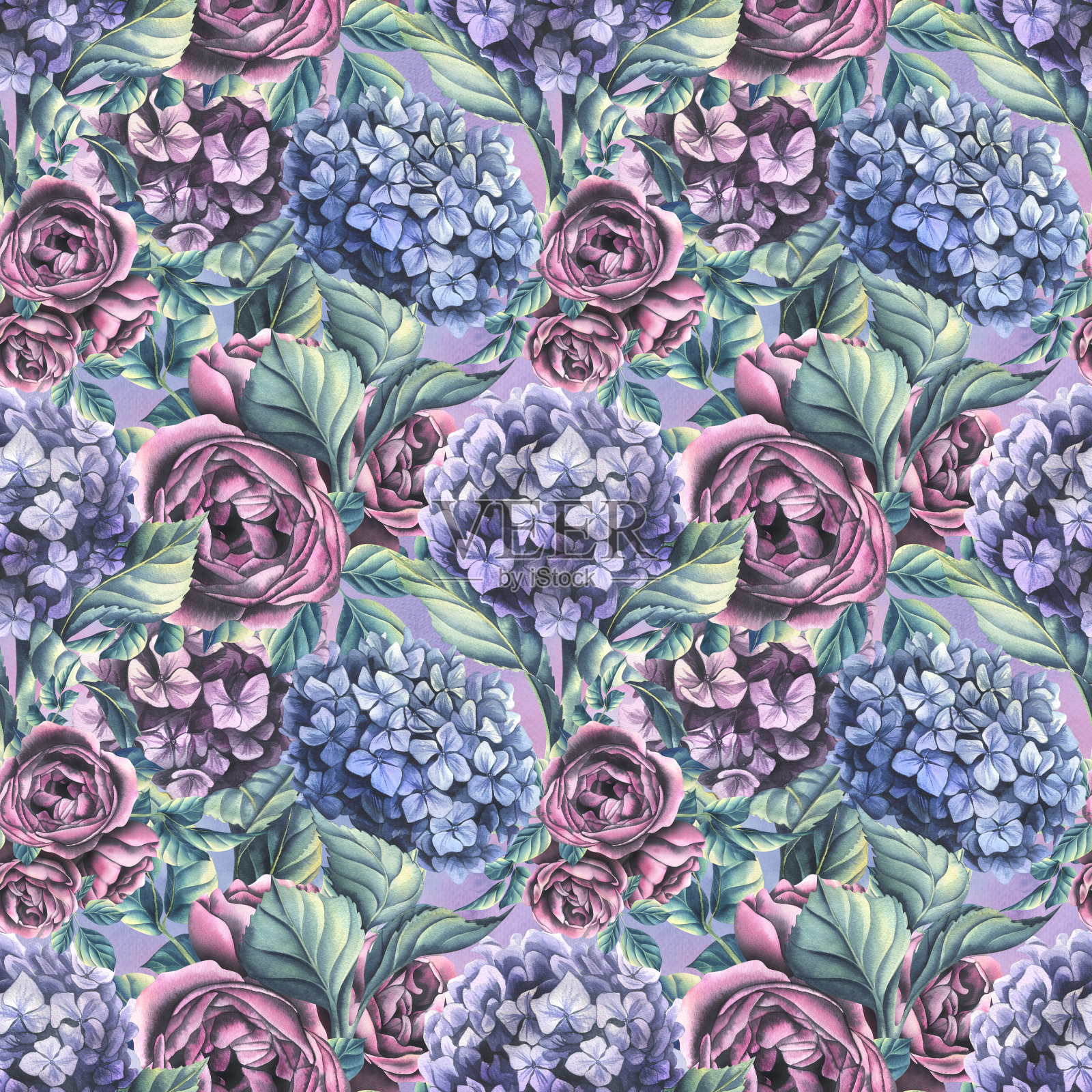 在丁香色的背景上，绣球花和玫瑰花的叶子很大。水彩插图。来自WEDDING FLOWERS系列的无缝图案。用于装饰设计、造纸、纺织品插画图片素材