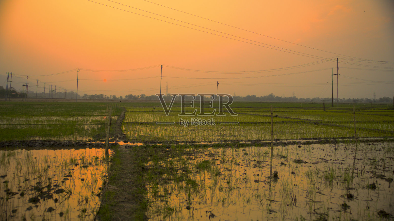 日落时的农业景观照片摄影图片