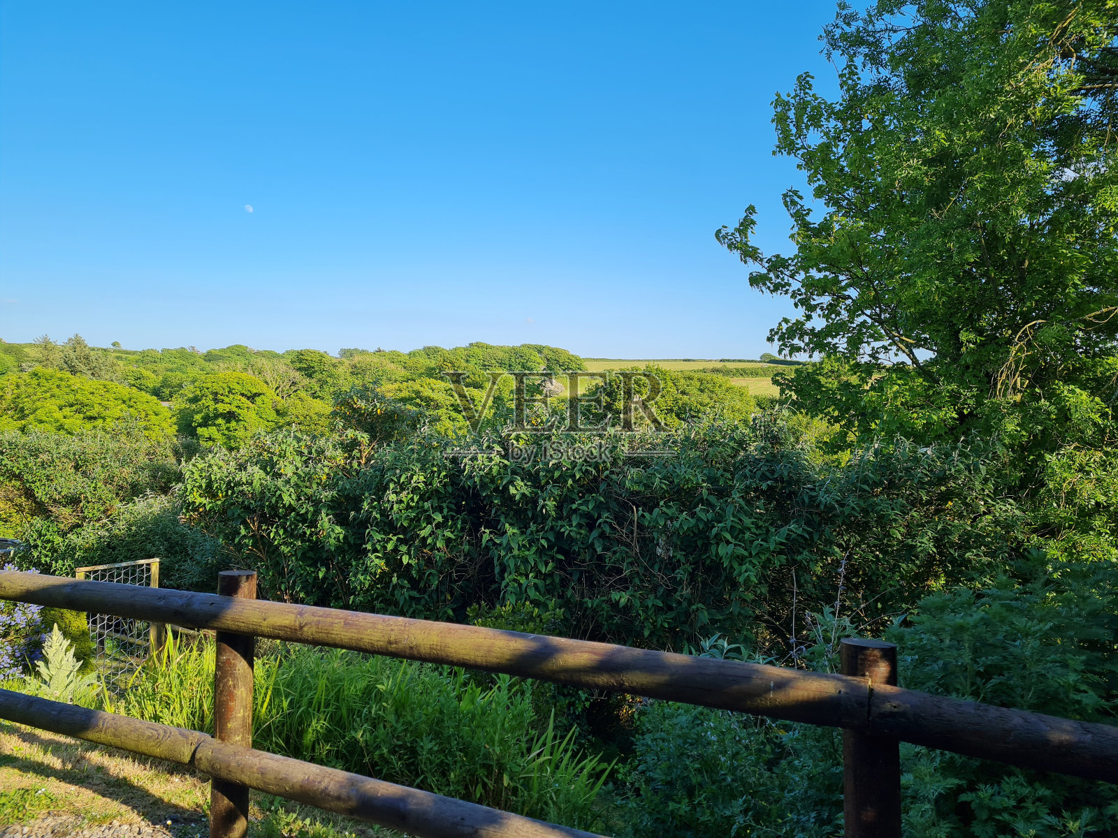 德文郡的乡村景观照片摄影图片